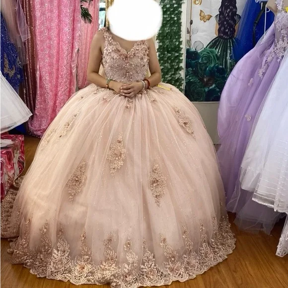 Elegant Pink Embellished Gowns - Picture 4 of 5